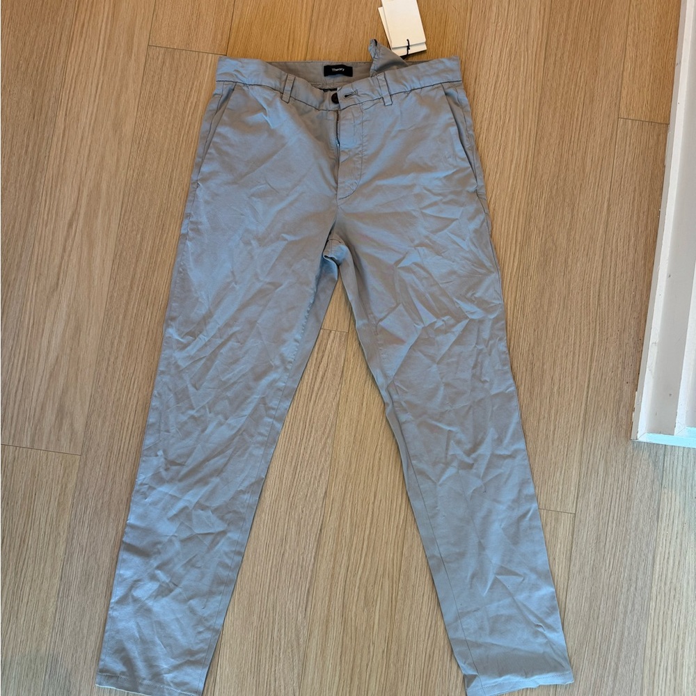 COPY - Theory Mens Pants size 30